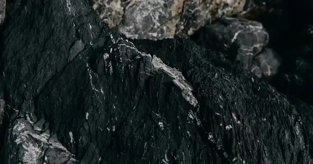 2025'te Dulavrat Otu ile Sağlığınızı Baştan Yaratın: Bilmeniz Gerekenler