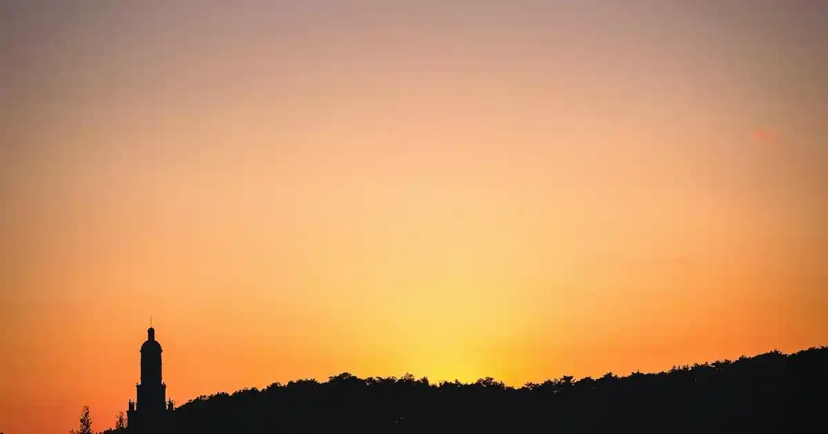 Duş Sabunu Seçimi ve Farklı Çeşitleriyle Günlük Bakım İpuçları