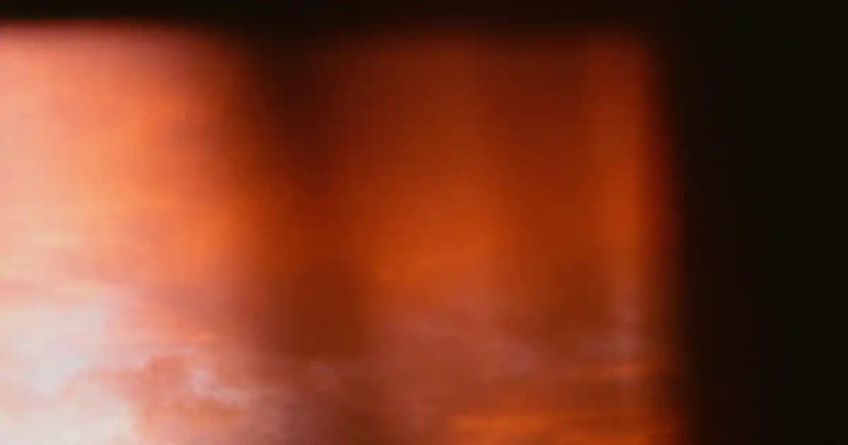 2025'te Ayçiçek Yağında Doğru Seçim: Sağlığınızı ve Lezzetinizi Koruyun