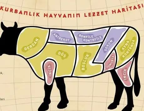 En Lezzetli Et Türleri ve Pişirme İpuçları Hakkında Kapsamlı Rehber
