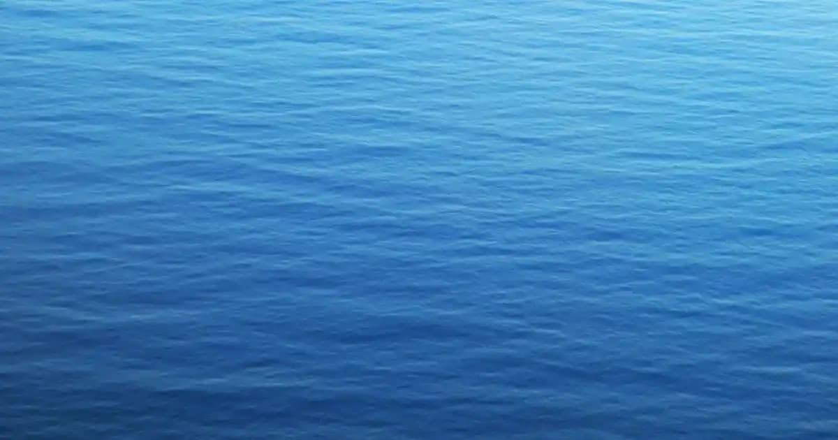 2025'te En Ucuz Deterjanı Bulmanın 5 Altın Kuralı