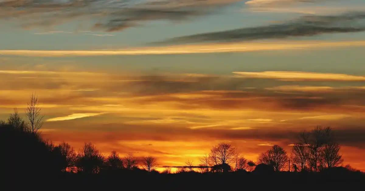 Eryaman'daki Migros Mağazası: Konumu, Ürün Yelpazesi ve Müşteri Deneyimleri