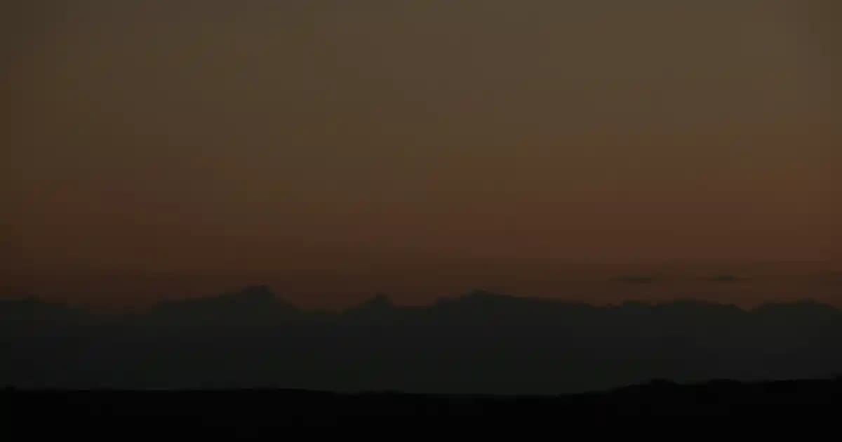 Esenyurt'taki Güncel ve Güvenilir Marketler: En İyi Alışveriş Seçenekleri ve İpuçları