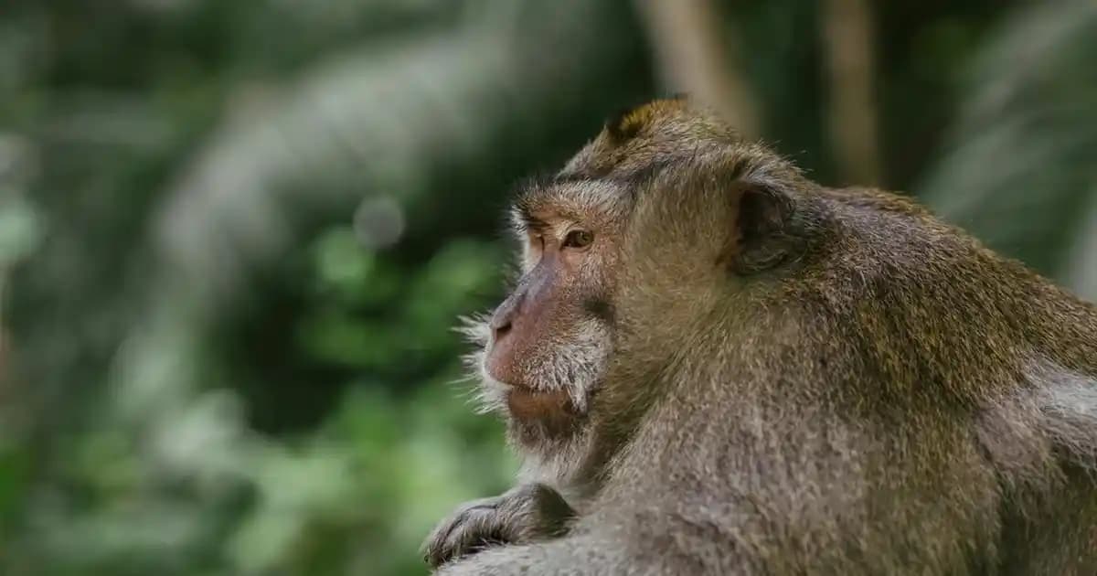 2025'te Eti Lifalif Bitter Çikolatalı Yulaf Bar ile Sağlıklı Atıştırmalık Sırrı