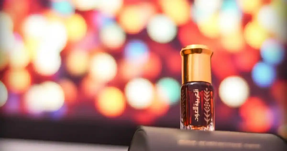 Fethiye ile Didim Arası Mesafe ve Ulaşım Seçenekleri Rehberi