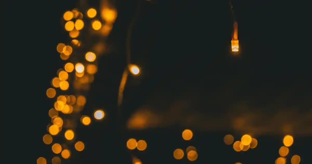 Fındık Yağı Fiyatlarını Etkileyen Faktörler ve En Uygun Seçenekler