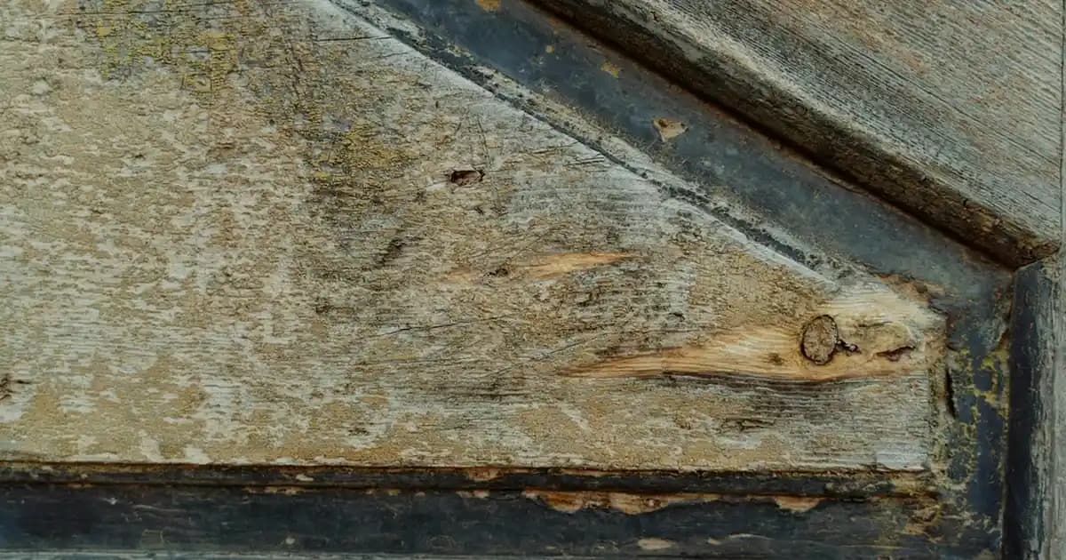 Folik Asit Takviyeleri: Sağlık ve Güzellik İçin Süpermarketlerde Bulunan Temel Destek