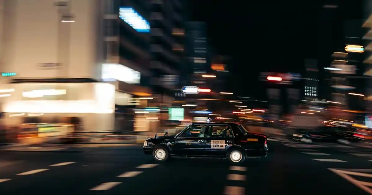 Giresun Yağlısı Fındık Nedir Yetiştiriciliği ve Ekonomik Önemi