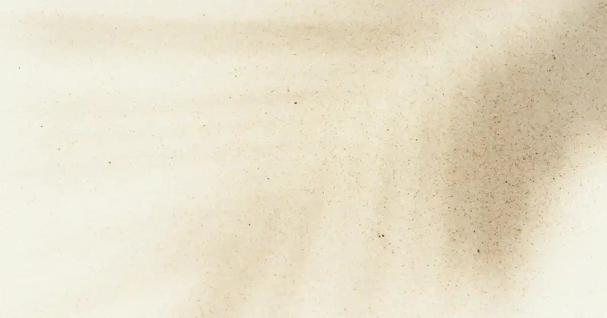 Gourmet Yaş Mama Nedir ve Kediniz İçin En İyi Seçenekler Nelerdir