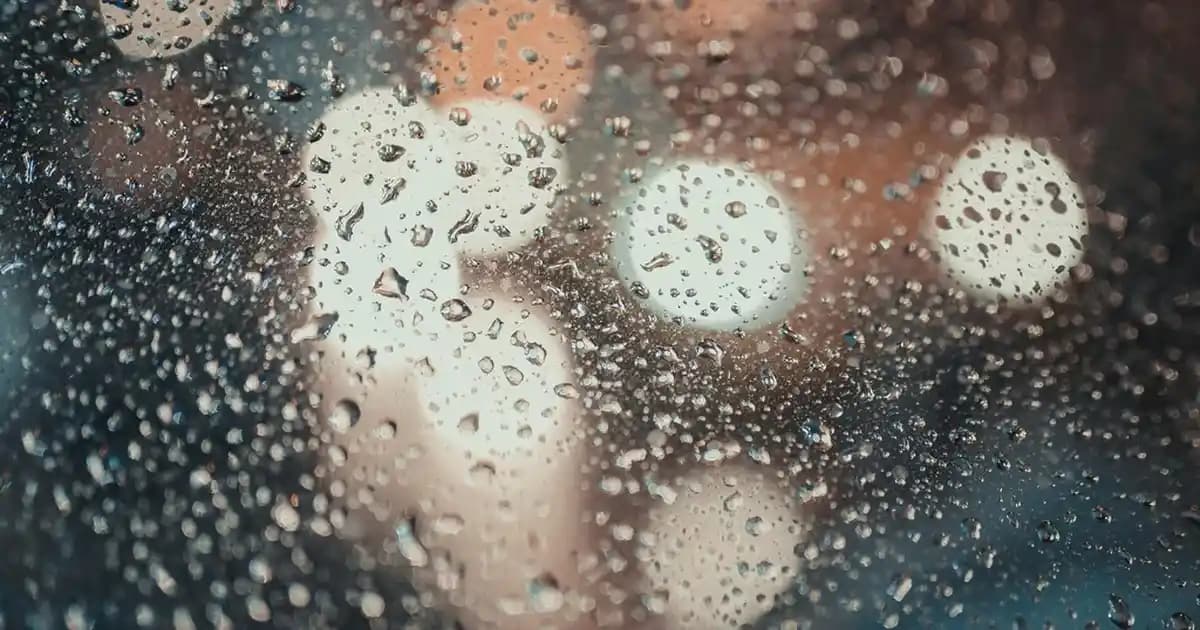 Gül Çikolata Nedir, Çeşitleri ve Alım İpuçlarıyla Zarif Tatlı Seçenekleri