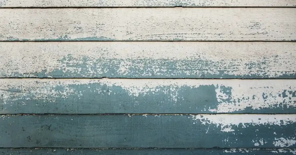 2025'te Kilo Aldırmayan Çikolata Seçimi: Şok Edici Gerçekler