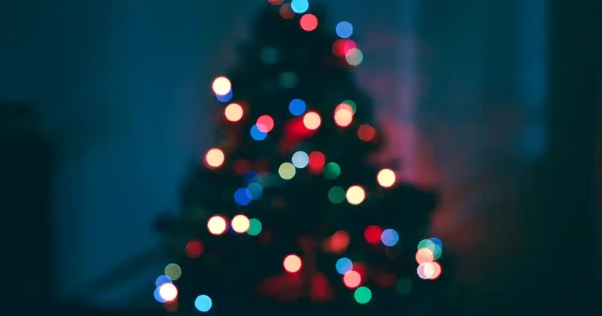 Hayalet Plaka Nedir, Kullanımı ve Trafik Güvenliği Üzerindeki Etkileri