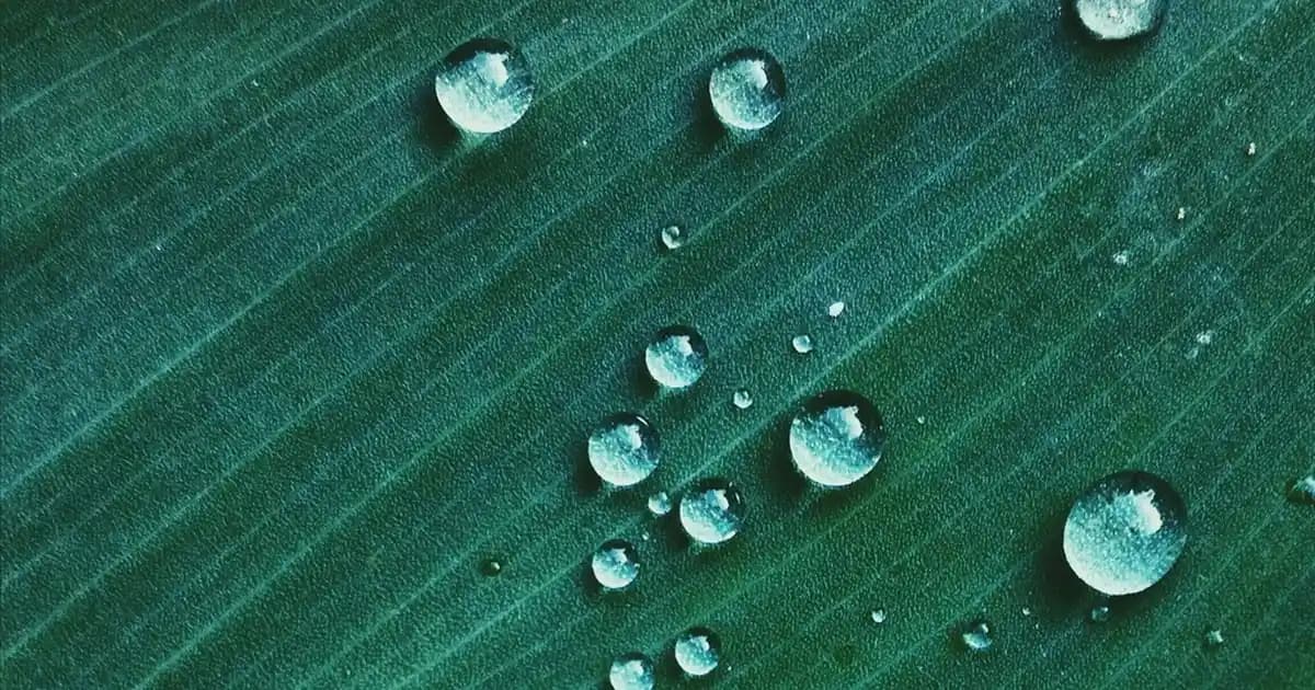 Hollanda Mutfağının Popüler Atıştırmalığı Kroketin Kökenleri ve Tarifleri