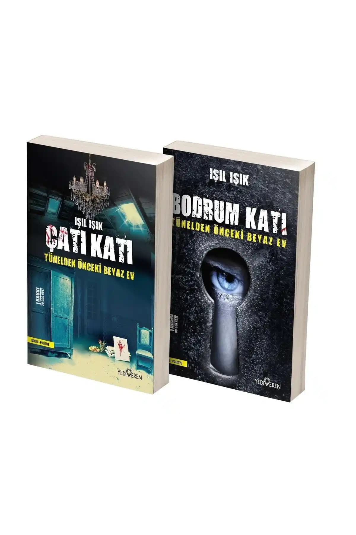 İki korku-gerilim romanı seti karşılaştırması: Çatı Katı ve Bodrum Katı ile Tünelden Önceki Beyaz Ev