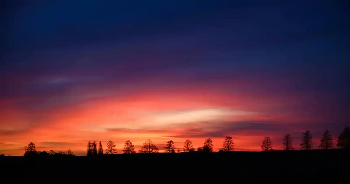 2025'te İmunol ile Bağışıklık Sisteminizde 5 Şaşırtıcı Değişim