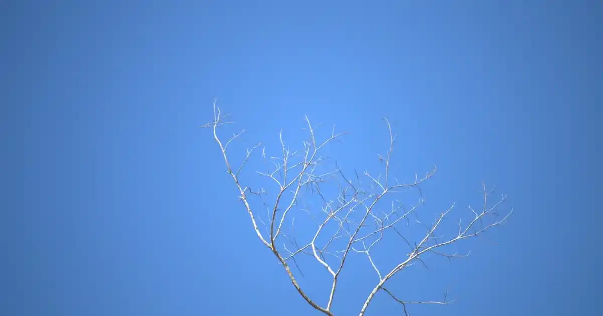 İzmir ile Denizli Arasındaki Mesafe ve Ulaşım Seçenekleri Hakkında Bilgi