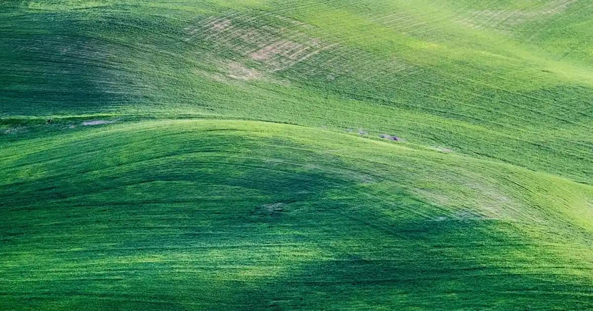 Kahramanmaraş'ta Ehliyet Fiyatları ve En Uygun Kurs Seçenekleri Hakkında Güncel Bilgiler