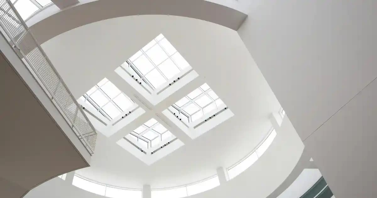 Kantaron Yağı ve Basur: Doğal Çözüm Olarak Kullanımı ve Faydaları