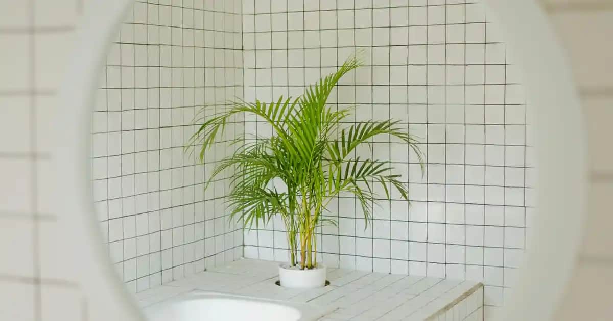 Kensa Bluetooth Çakmaklıklar: Araç İçin Çok Fonksiyonlu Kablosuz Bağlantı Çözümü