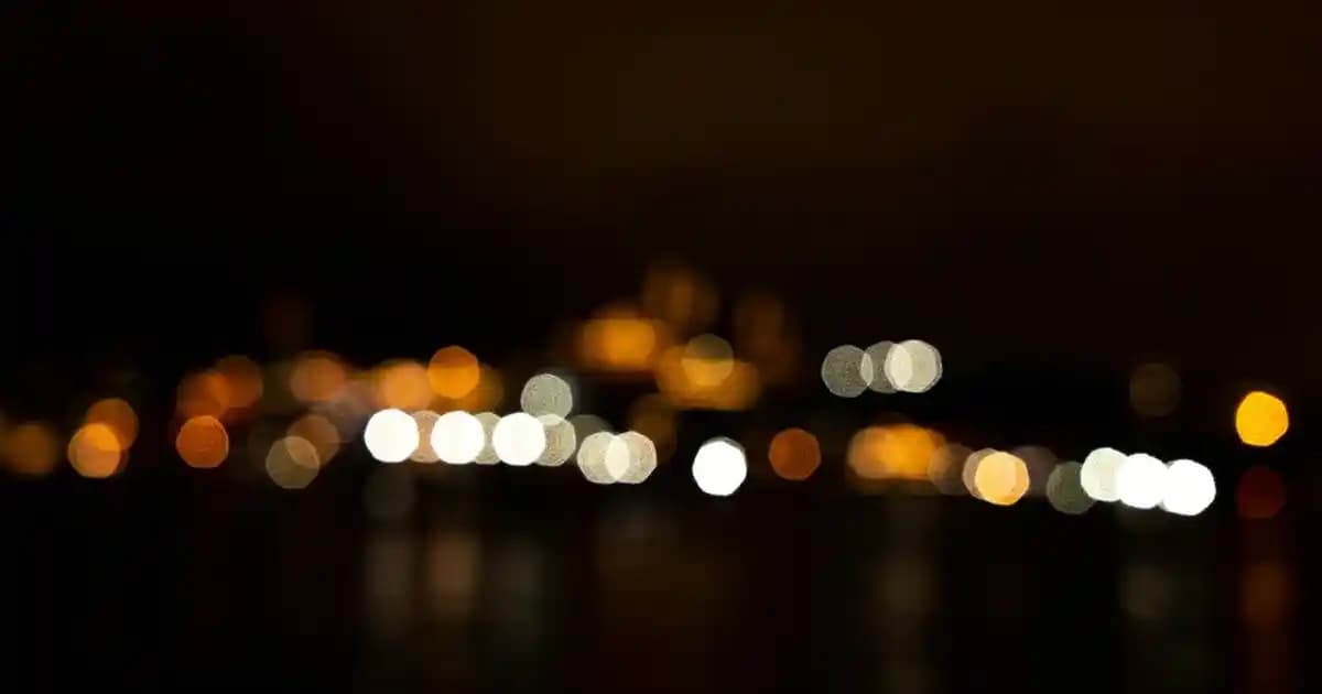 2025'te Köpek Balığı Yağıyla Sağlık ve Güzelliğinizde Devrim Yaratın