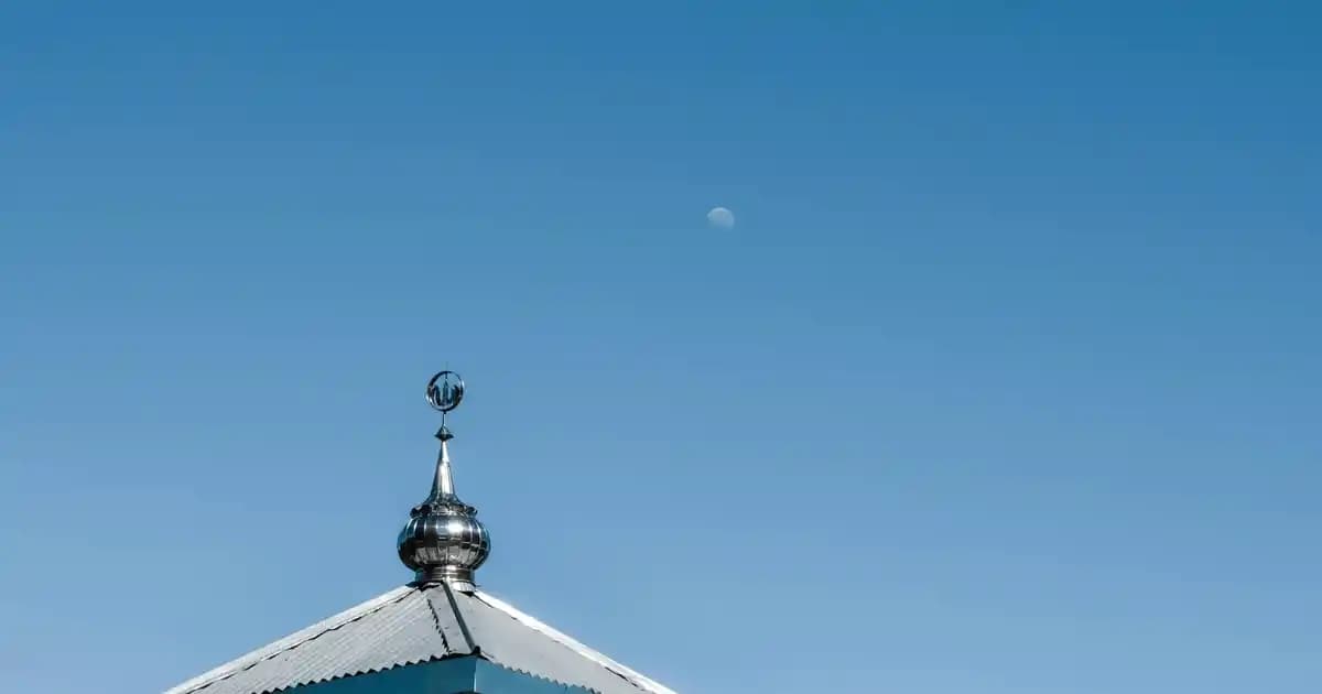 Köpek Tuvalet Eğitimi İçin Güvenilir Spreyler ve Kullanım İpuçları