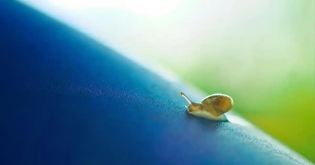 Körüklü pipetler: Pratik ve estetik içecek çözümleri için geniş ürün yelpazesi