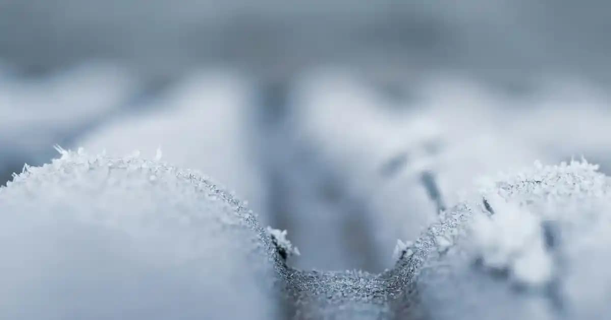 Küf Yeşili Pasta ve Dekorasyon Trendleri Süpermarketlerde Nasıl Bulunur