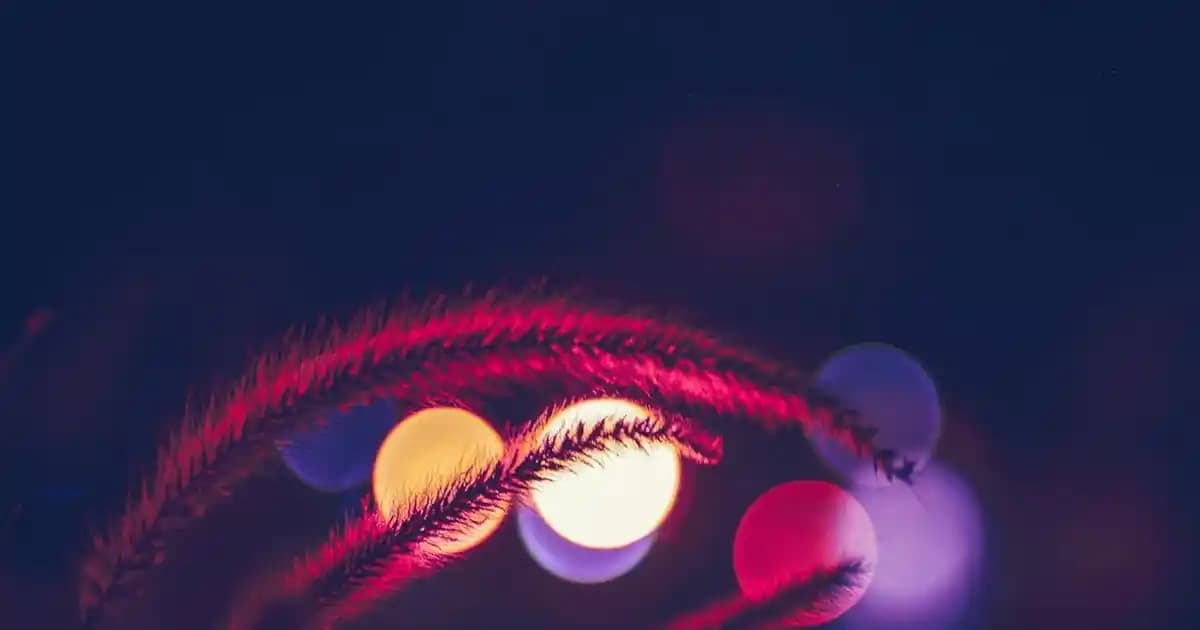 Lays Fırından Cipslerin Kalori İçeriği ve Sağlıklı Atıştırmalık Seçenekleri