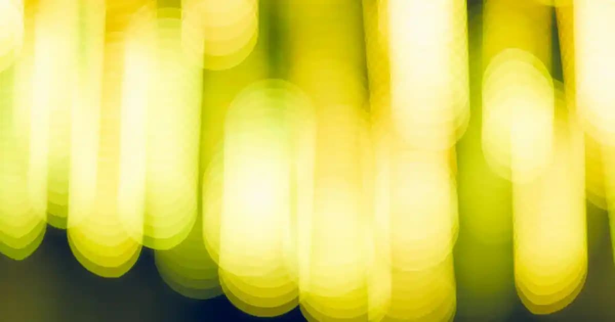 Migros'ta 10 Kg Bingo Temizlik Ürünleri: Ekonomik ve Güvenilir Çözüm