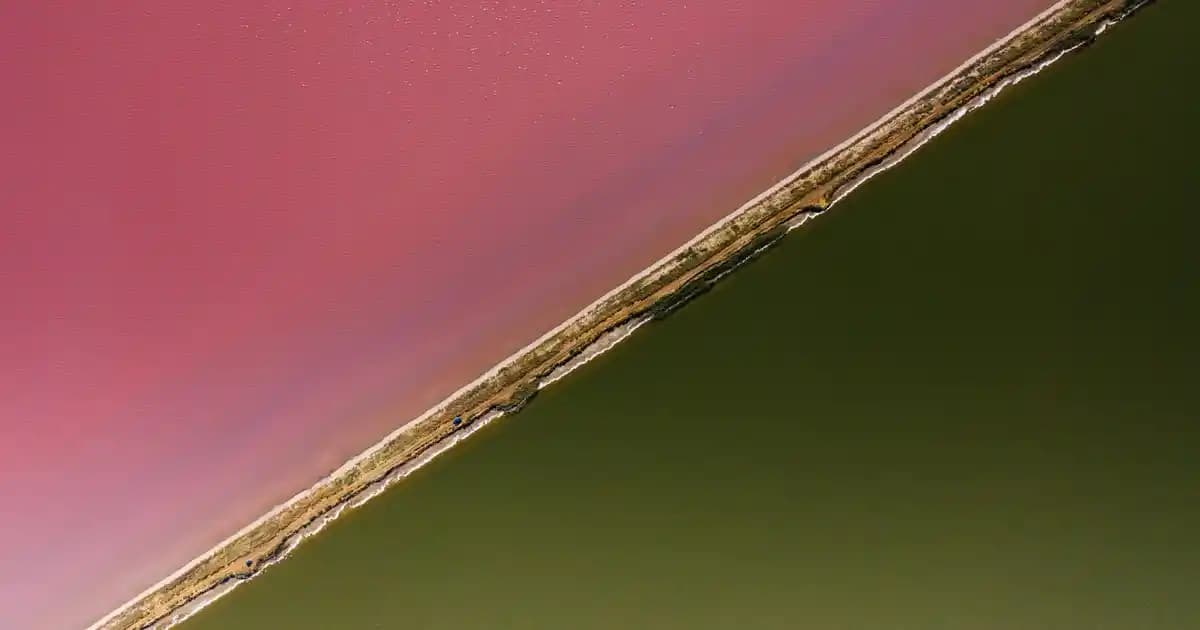 Migros'ta Boza Çeşitleri ve Online Alışveriş İmkanları Hakkında Bilgi