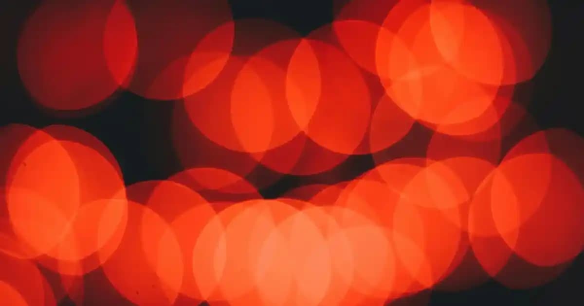 2025'te Kedinizin Mutluluğunu Artıracak Migros Gourmet Yaş Mamalar