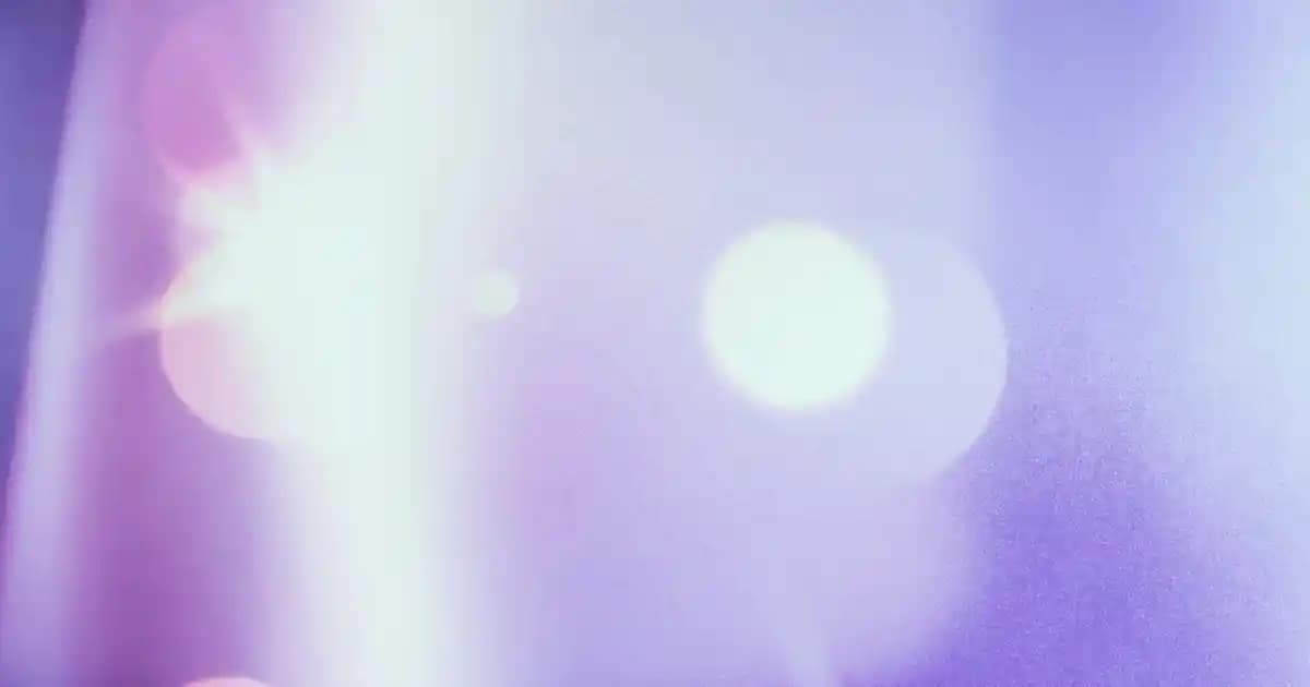 Migros'ta Guava Meyvesi Satın Alma Rehberi: Sağlık ve Lezzetin Buluşması