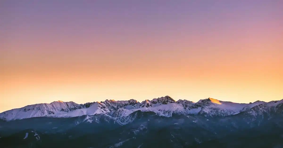 2025'te Migros'ta Kağıt Havlu Seçmenin 5 Altın Kuralı