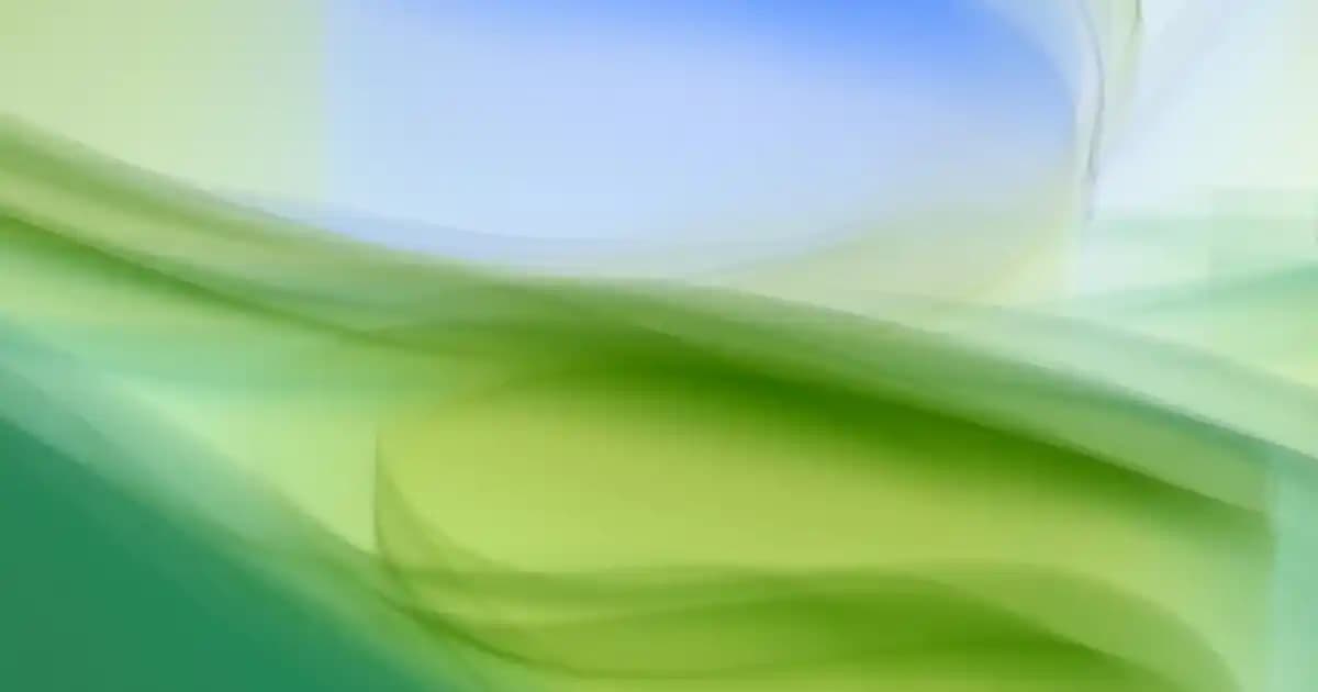 Migros'ta Kondenze Sütü Nasıl Bulunur ve En İyi Seçenekler Nelerdir