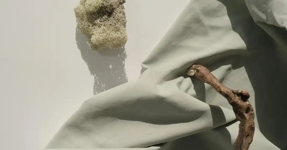 Migros'ta Kotex Ürünleri: Çeşitler, Fiyatlar ve Kampanya Fırsatları