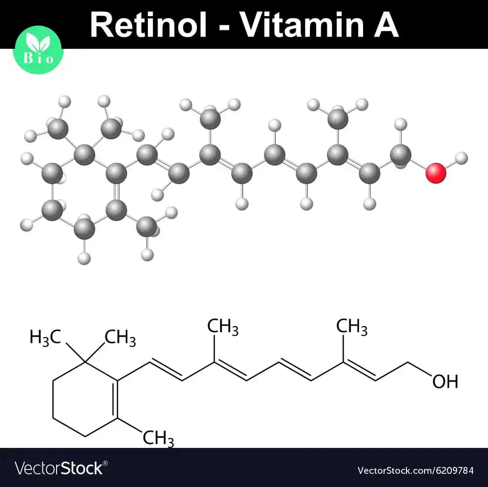 Retinol Hangi Vitamin? Cilt Bakımında Vitamin A'nın Rolü ve Süpermarket Ürünleri