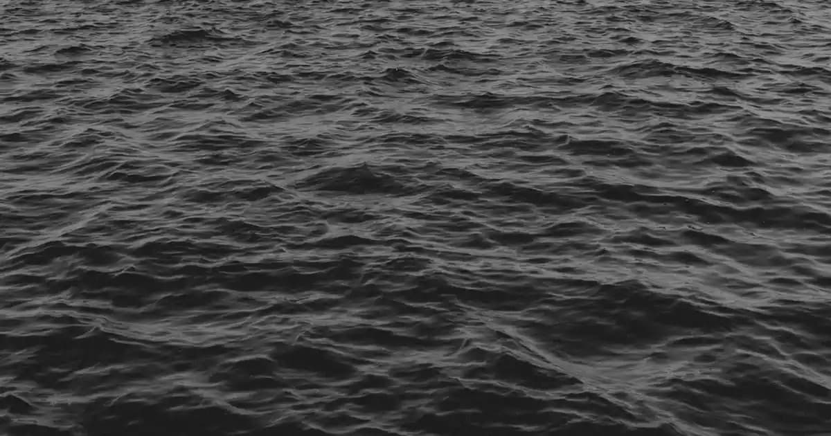 Samsun Hyundai Servisleri: Güvenilir ve Hızlı Bakım, Onarım ve Ek Hizmetler