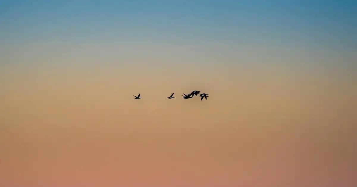 Süpermarketlerde Cinsiyet Partisi Fotoğraflarının Önemi ve Trendleri