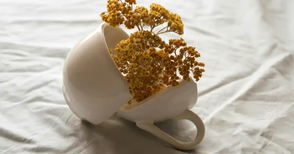 Süpermarketlerde Kanepe Ekmekleri: Lezzet ve Sunumda Yeni Trendler ve Seçenekler