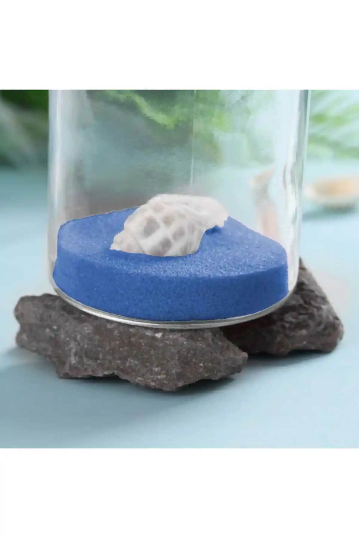 Aker Hediyelik Mavi Akvaryum Deniz Plaj Teraryum Silis Kumu 100gr Dekoratif Malzeme