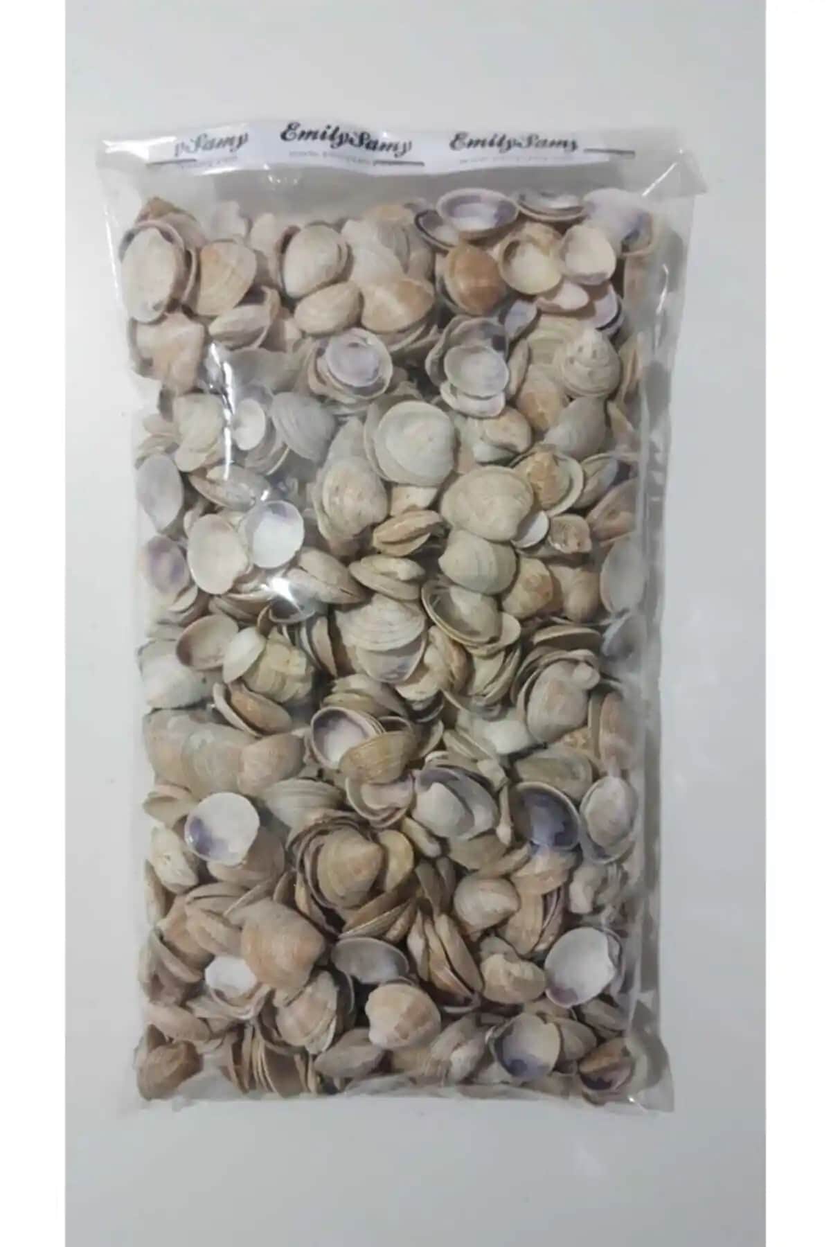 Deniz Kabuğu 500 Gr Doğal ve Çok Yönlü Dekoratif Malzeme, El Sanatları ve Dekorasyon İçin