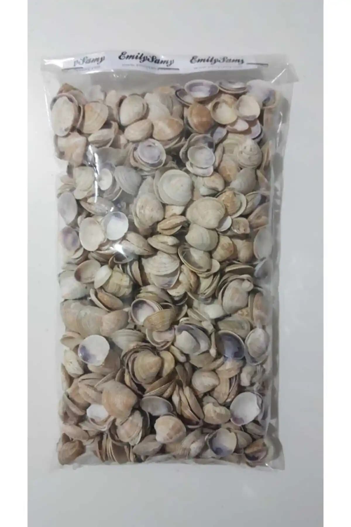 Deniz Kabuğu 500 Gr Doğal ve Çok Yönlü Dekoratif Malzeme, El Sanatları ve Dekorasyon İçin