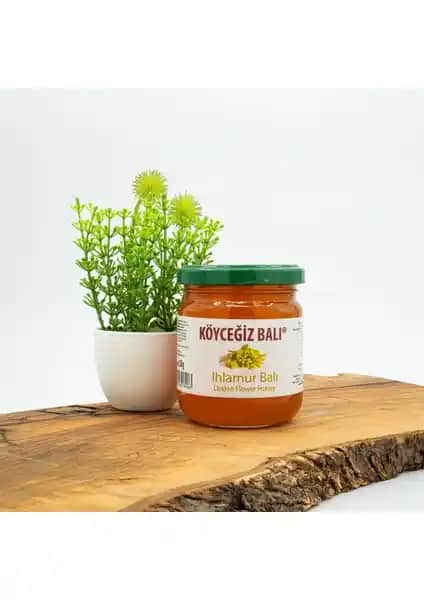 Köyceğiz Balı Ihlamur ve Kekik Balı Karşılaştırması: Tat, Sağlık ve Kalite Analizi