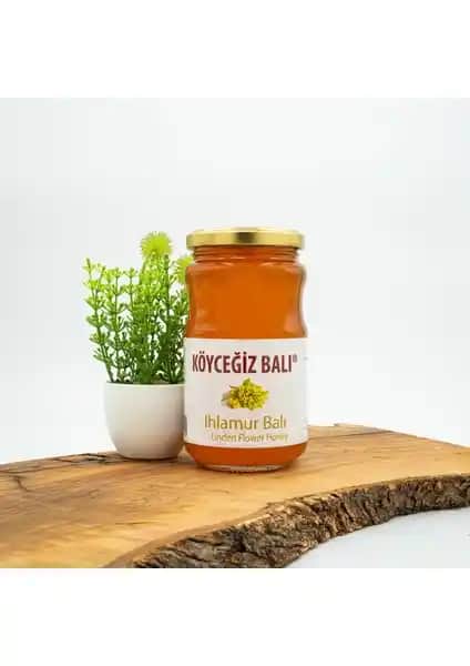 Köyceğiz Balı Ihlamur ve Kestane Balı Karşılaştırması Sağlıklı Bal Seçenekleri
