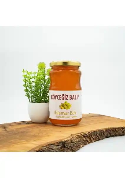 Köyceğiz Balı Ihlamur ve Kestane Balı Karşılaştırması Sağlıklı Bal Seçenekleri
