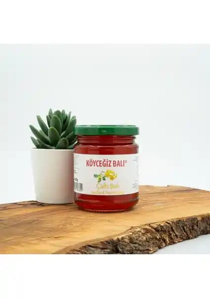 Köyceğiz Çaltı ve Hayıt Balı Karşılaştırması: Özellikleri ve Faydaları