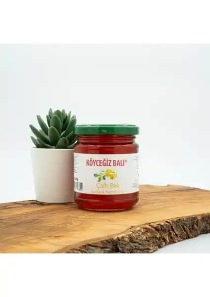 Köyceğiz Çaltı ve Sandal Balı Karşılaştırması: Özellikler ve Sağlık Faydaları