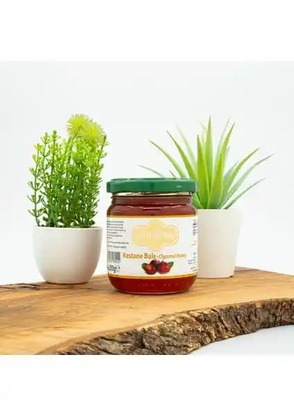 Köyceğiz ve Umay Herbal Organik Kestane Balı Karşılaştırması ve Özellikleri