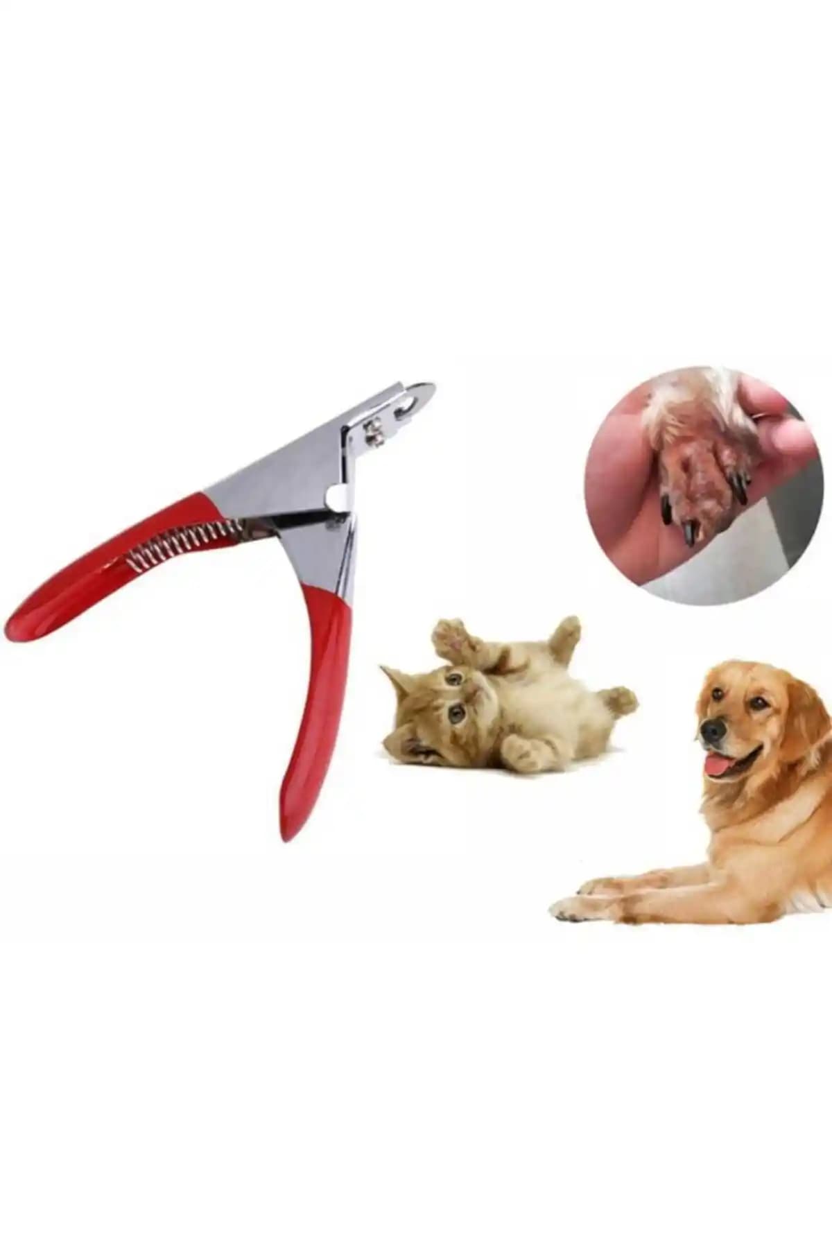 Ms. Iron Çelik Giyotin Tırnak Makası İncelemesi ve Kullanıcı Yorumları