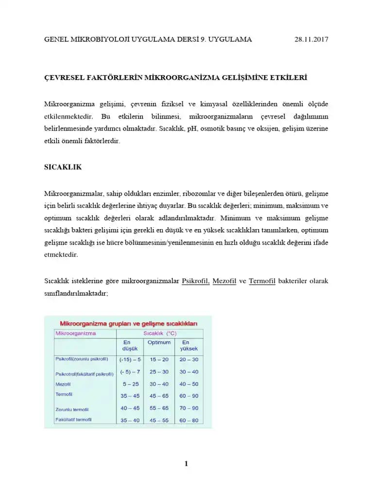 Restoranlarda İçecek Sipariş Etmenin Ekonomik, Kültürel ve Çevresel Boyutları